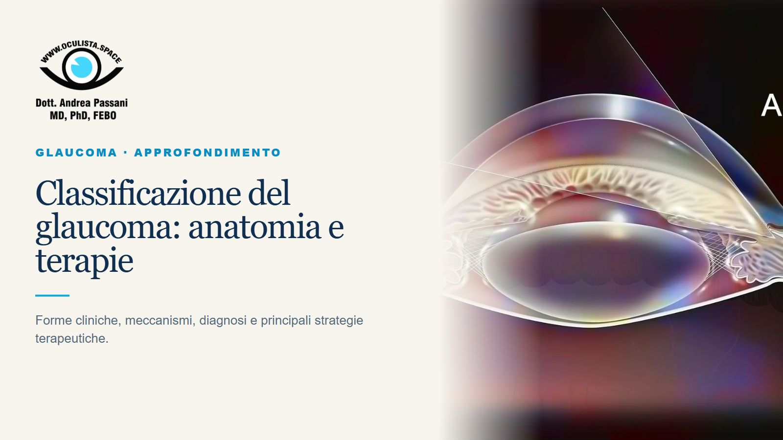 Classificazione del Glaucoma: anatomia e terapie